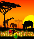 Онлайн игровой автомат Wild Africa