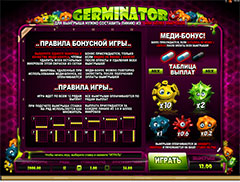 Информация в игровой автомат Герминатор
