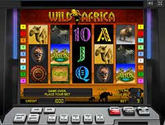 Внешний вид игрового автомата Дикая Африка