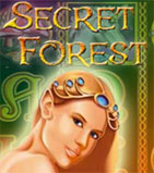 Secret Forest (Секретный Лес, Загадки Леса) играть онлайн